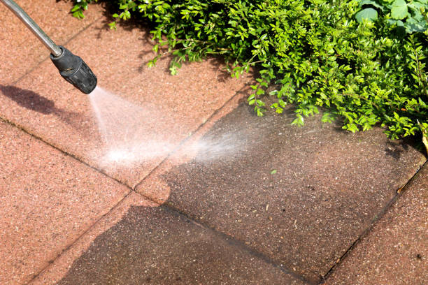 Best Exterior Home Cleaning  in Clyde, NY