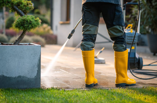 Best Pressure Washing Company Near Me  in Clyde, NY